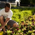 Organic Farmer